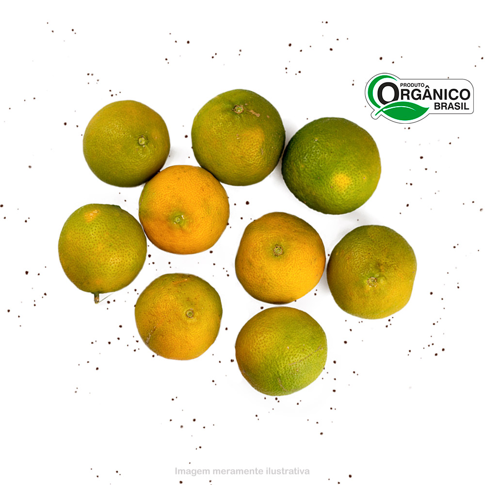 Limão Cravo Orgânico - Organi