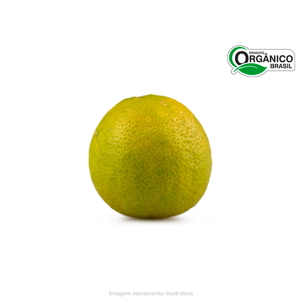 Limão Cravo Orgânico - Organi